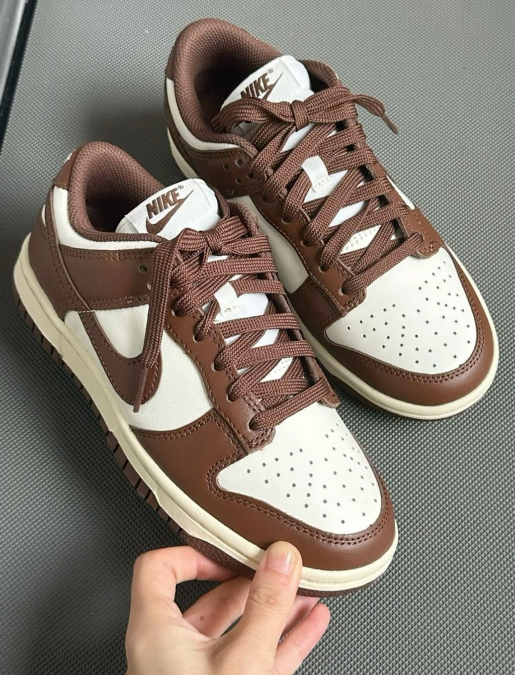 Nike Dunk Low Sneaker