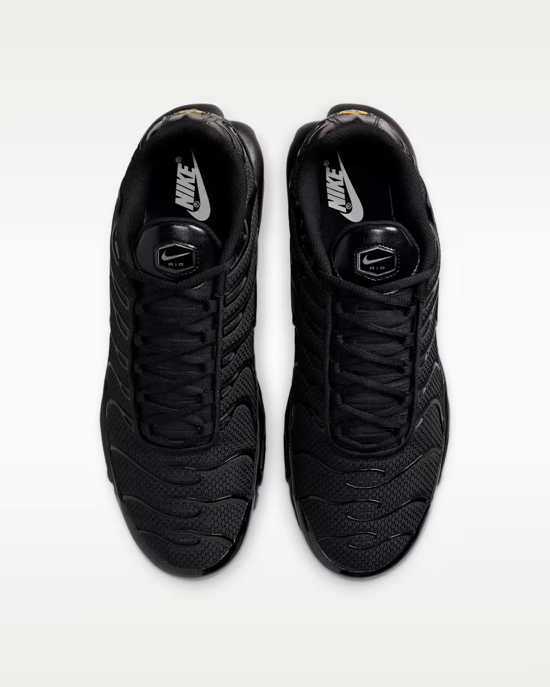 The Nike Air Max Plus Triple Black