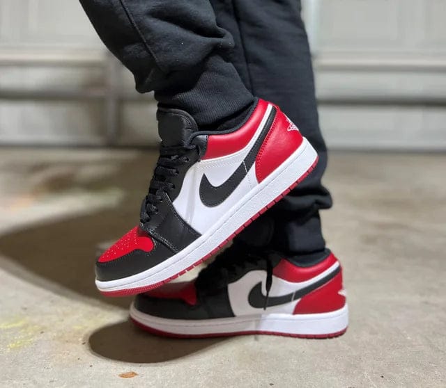 Nike Dunk Low Sneaker