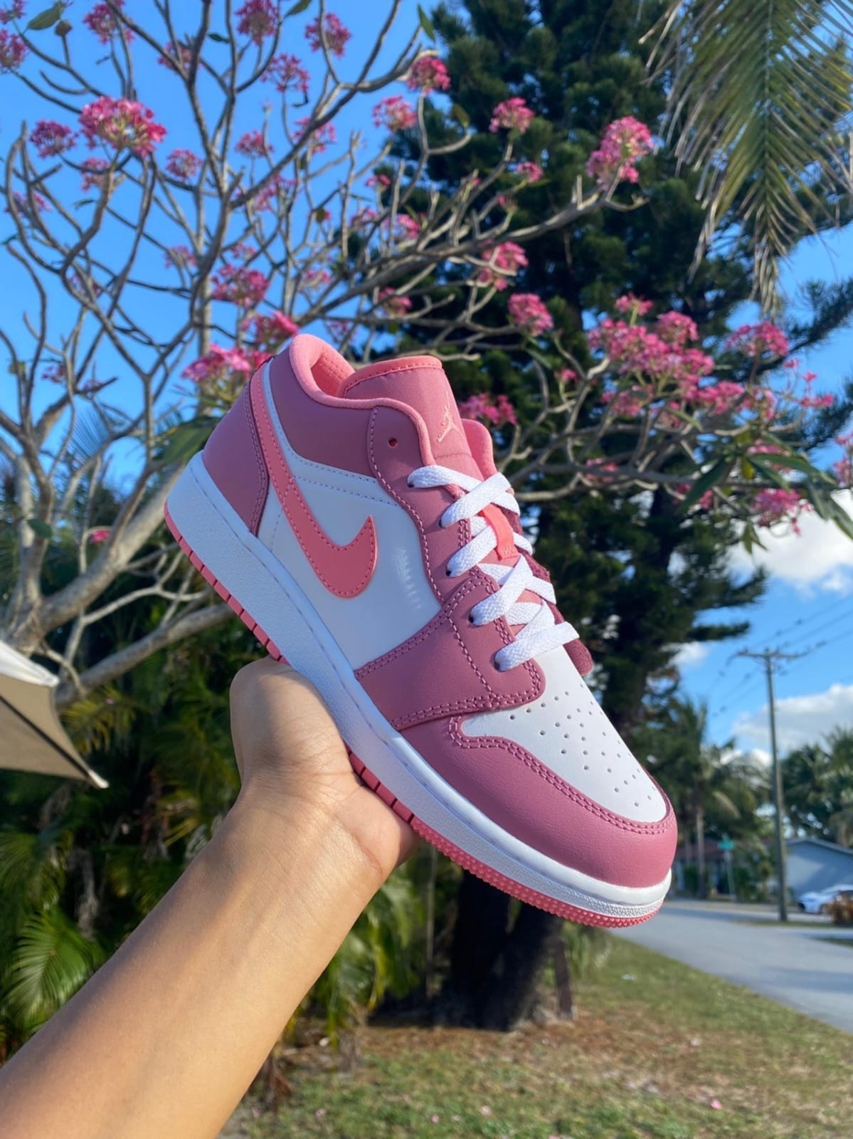 Nike Dunk Low Sneaker