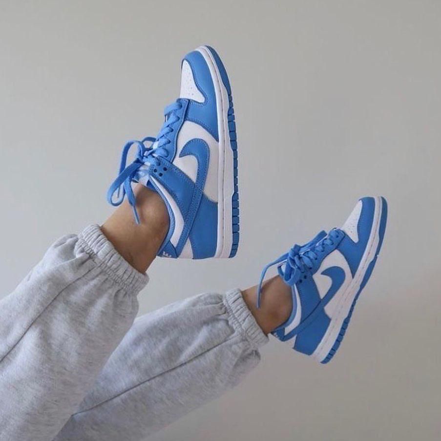 Nike Dunk Low Sneaker